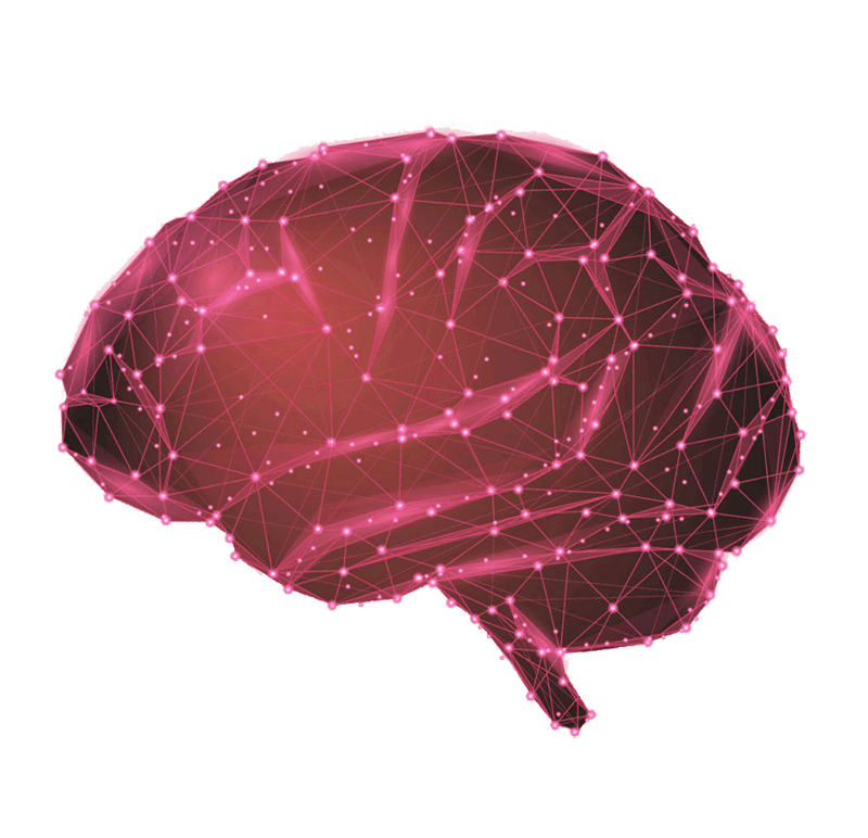 Graphic of brain, representing MCP's Data Halo. Data Halo is MCP's family of data integration solutions, designed to manage data more effectively to improve outcomes.