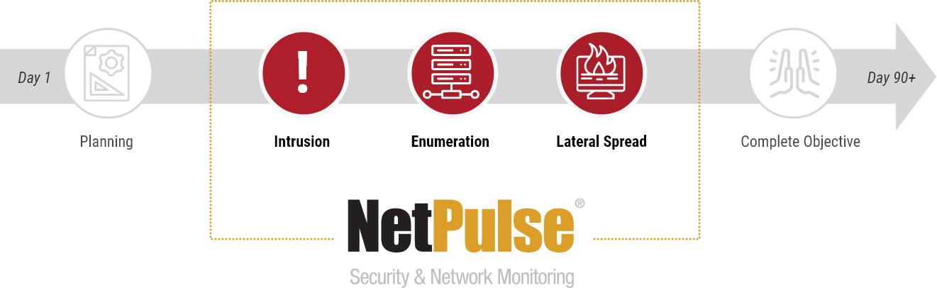 NetPulse