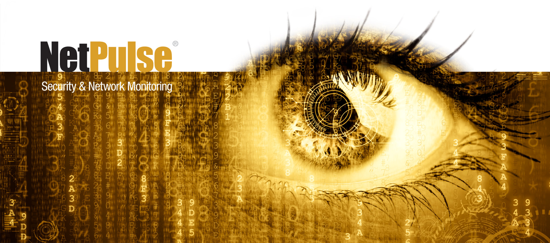 NetPulse